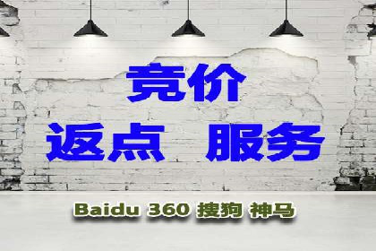 百度推广费用的投入与市场占有率提升的关联案例